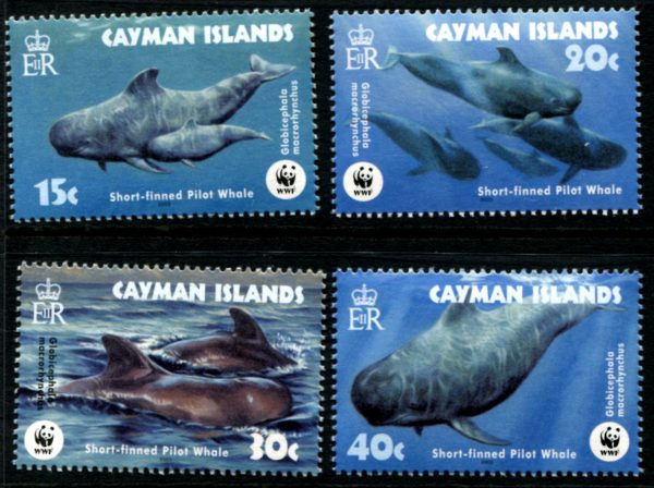 CAYMAN ISLANDS - 2003 WWF 'SHORT-FINNED PILOT WHALE' Set of 4 MNH [E7700]