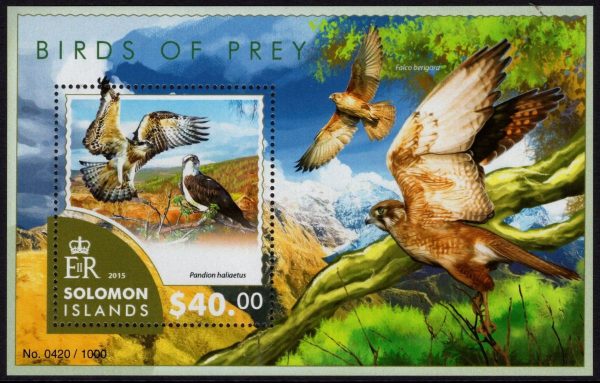 SOLOMON ISLANDS - 2015 'BIRDS OF PREY' Miniature Sheet MNH [D6389]