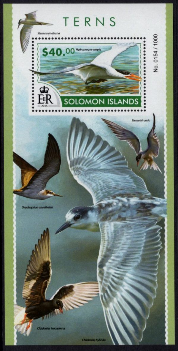 SOLOMON ISLANDS - 2015 'TERNS' Miniature Sheet MNH [D6393]