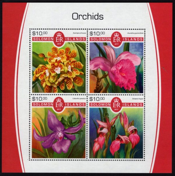SOLOMON ISLANDS - 2017 'ORCHIDS' Miniature Sheet MNH [D6390]