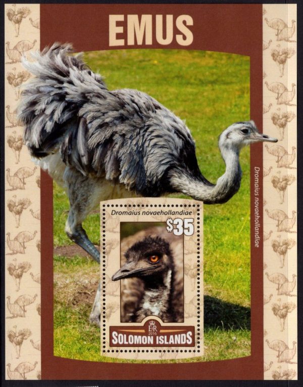 SOLOMON ISLANDS - 2016 'EMUS' Miniature Sheet MNH [D7399]