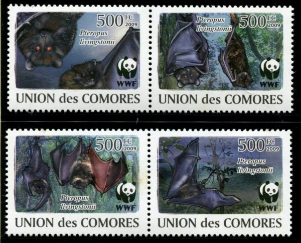 UNION des COMORES - 2009 WWF 'LIVINGSTONE'S FRUIT BAT' Set of 4 MNH [E7077]