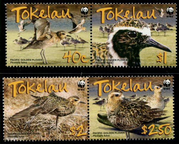 TOKELAU - 2007 WWF 'PACIFIC GOLDEN PLOVER' Set of 4 MNH [C4609]