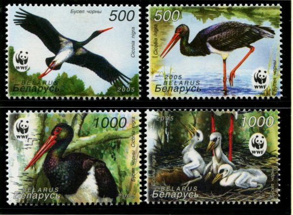 BELARUS - 2005 WWF 'BLACK STORK' Set of 4 MNH [C4576]