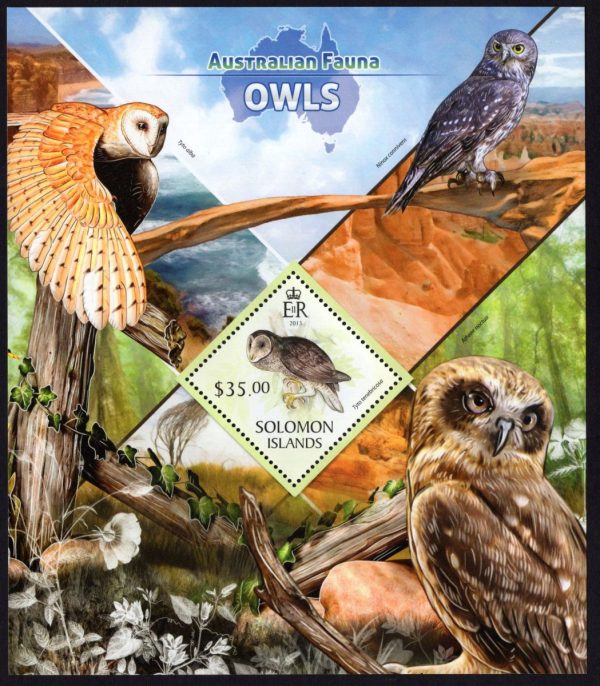 SOLOMON ISLANDS - 2013 'AUSTRALIAN FAUNA - OWLS' Miniature Sheet $35 MNH [E0776]