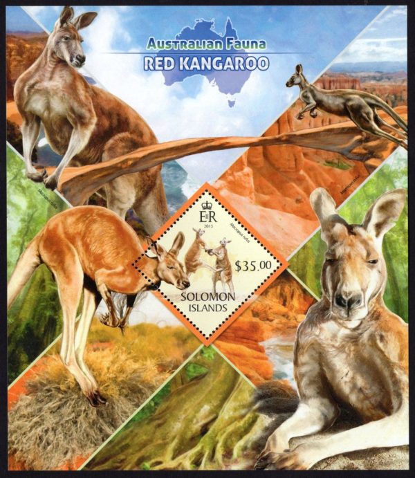 SOLOMON ISLANDS - 2013 'AUSTRALIAN FAUNA - RED KANGAROO' Miniature Sheet $35 MNH [E0757]