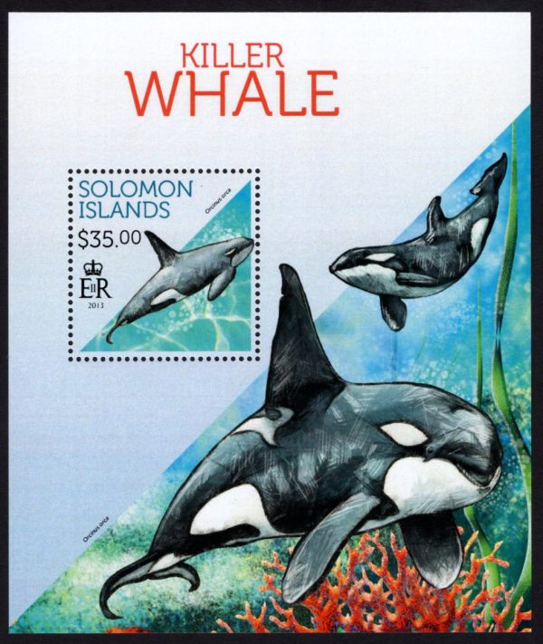 SOLOMON ISLANDS - 2013 'KILLER WHALE' Miniature Sheet $35 MNH [E0936]