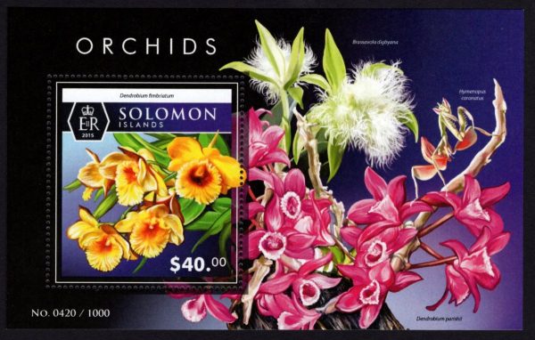 SOLOMON ISLANDS - 2015 'ORCHIDS' Miniature Sheet $40 MNH [E0904]