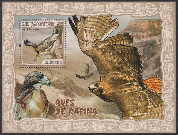 MOZAMBIQUE - 2007 'BIRDS OF PREY' Miniature Sheet MNH [E1151]