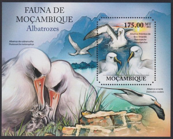 MOZAMBIQUE - 2011 'ALBRATROSS' Miniature Sheet MNH [E1154]