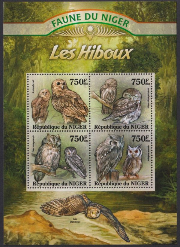 REPUBLIC of NIGER - 2013 'FAUNA - Owls' Miniature Sheet MNH [E1536]