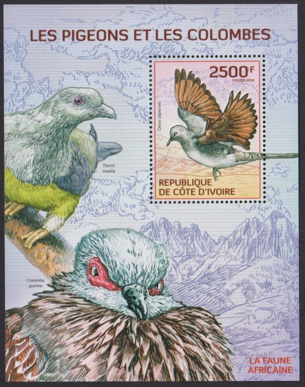 IVORY COAST - 2014 'PIGEONS & DOVES' Miniature Sheet MNH [E1923]