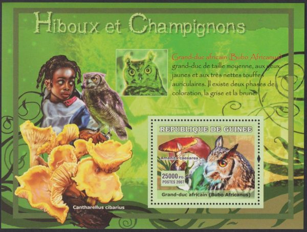 REPUBLIC OF GUINEE - 2007 'OWLS AND MUSHROOMS' Miniature Sheet MNH [E7888]