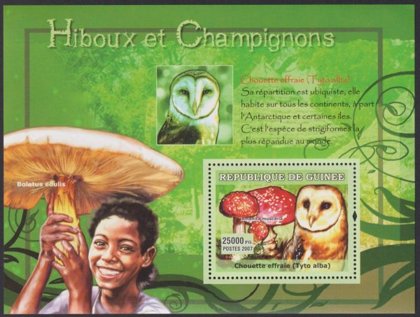 REPUBLIC OF GUINEE - 2007 'OWLS AND MUSHROOMS' Miniature Sheet MNH [E7887]