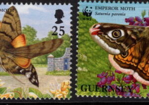 GUERNSEY - 1997 WWF 'BUTTERFLIES AND MOTHS IN GUERNSEY' Set of 4 MNH [E7723]