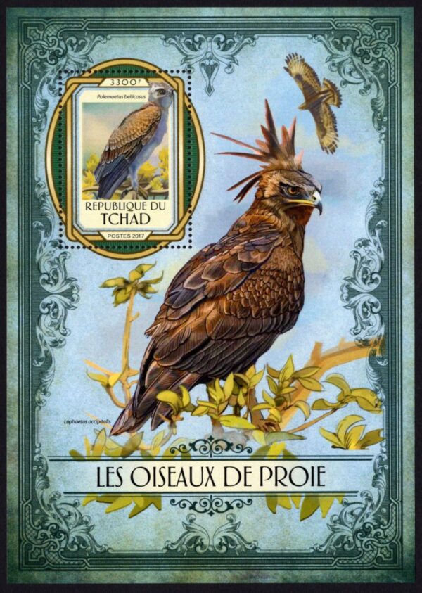 CHAD - 2017 'BIRDS OF PREY' Miniature Sheet MNH [E8264]