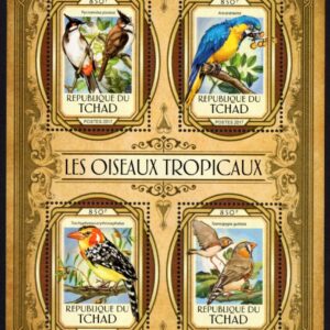 CHAD - 2017 'TROPICAL BIRDS' Miniature Sheet MNH [E8265]