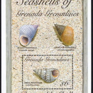 GRENADA GRENADINES - 1993 'PERIWINKLE SHELLS' Miniature Sheet MNH [E9878]