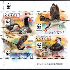 GUINEE - 2020 WWF 'AFRICAN SKIMMER' Miniature Sheet MNH [E9666]