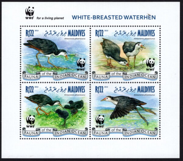 MALDIVES - 2013 WWF 'WATER FOWL' Miniature Sheet MNH [E9661]