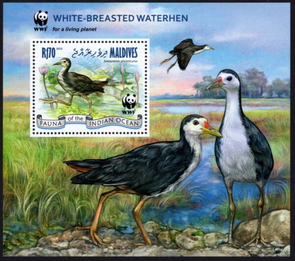 MALDIVES - 2014 WWF 'WATER FOWL' Miniature Sheet MNH [E9662]