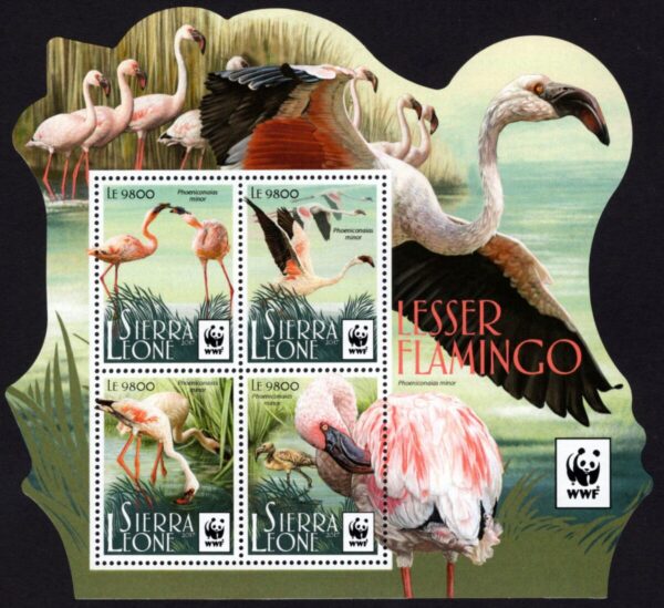 SIERRA LEONE - 2017 WWF 'LESSER FLAMINGO' Miniature Sheet MNH [E9864]