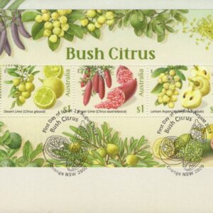 AUSTRALIA - 2019 'BUSH CITRUS' Miniature Sheet First Day Cover [E9935]