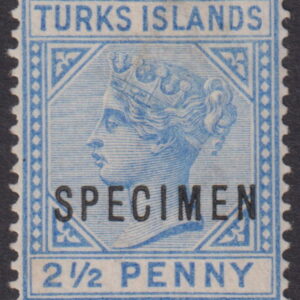 TURKS ISLANDS - 1893 QV 2½d BLUE Specimen  SG 65 MNG Cv £50 [E9736]